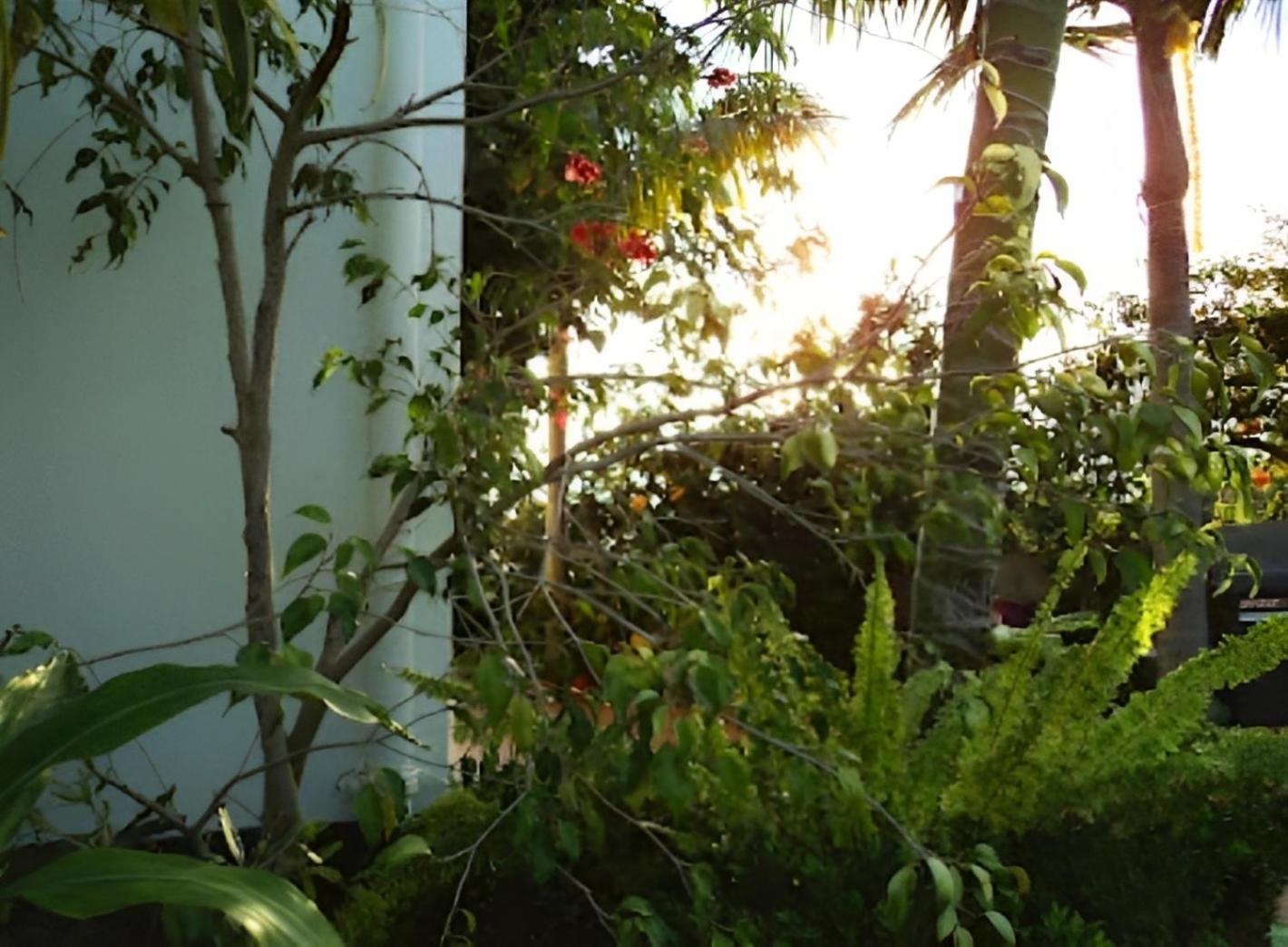 Eden Villa - Pool, Barbecue, Spectacular Views, Up To 7 Guests ฟุงชาล ภายนอก รูปภาพ
